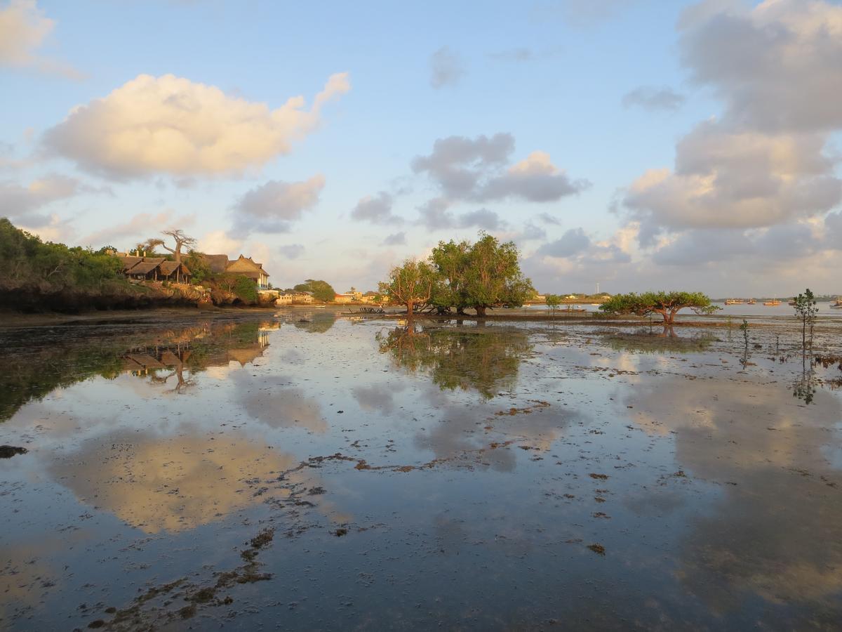 Wasini Island Bandas Zewnętrze zdjęcie