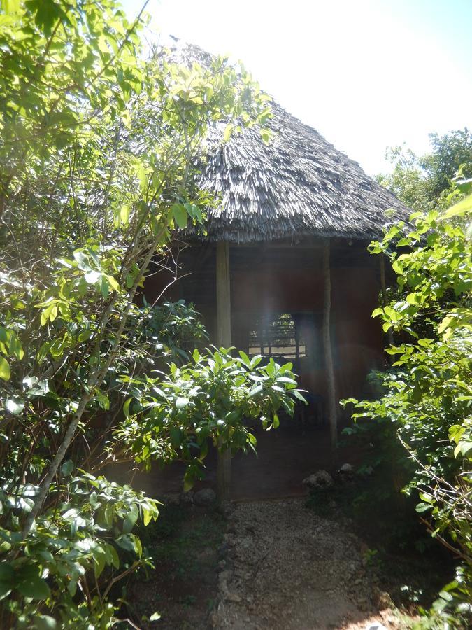 Wasini Island Bandas Zewnętrze zdjęcie